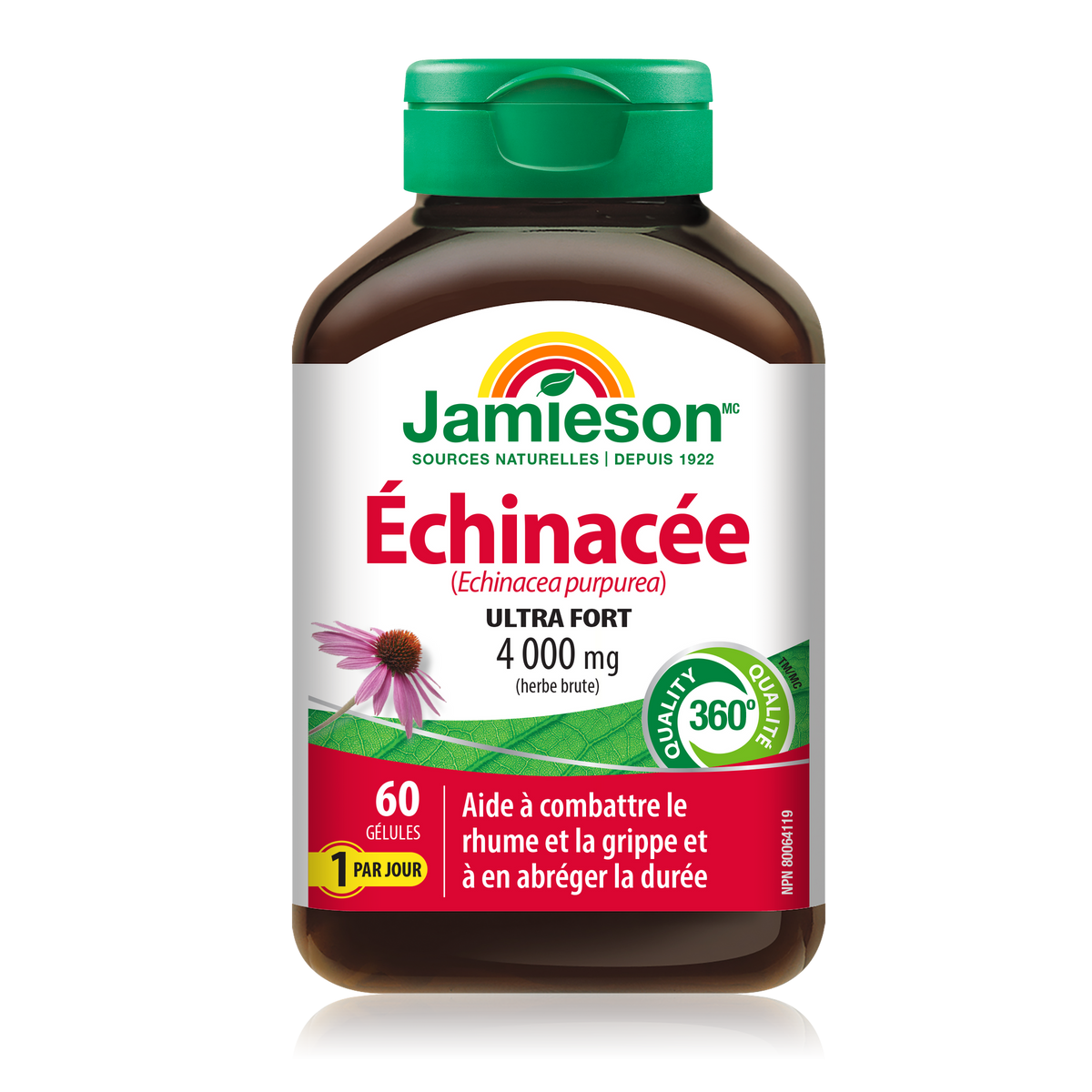 Jamieson Echinacea 4,000 mg Softgels, 60 Count