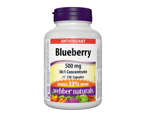 Webber Naturals Blueberry 36:1 Concentrate 500 mg, 90 + 30 Capsules