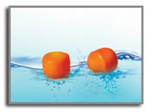 FLOTEK SILICONE EAR PLUGS - Queensborough Community Pharmacy